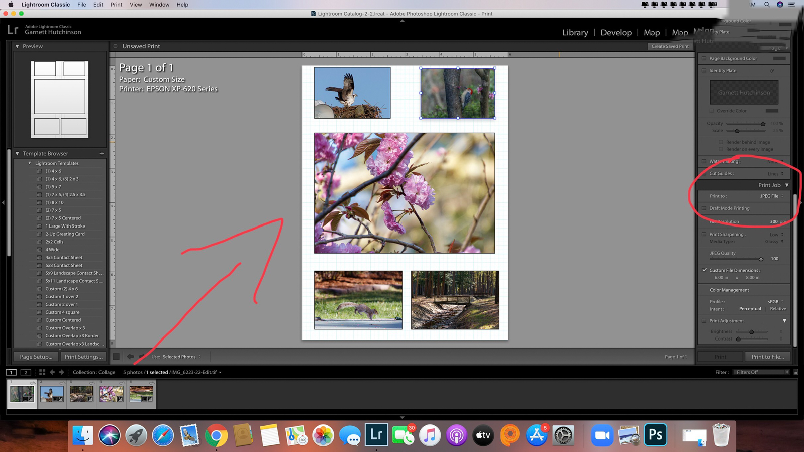 How to Make a Collage in Lightroom 365 Picture Today